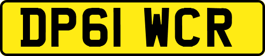 DP61WCR
