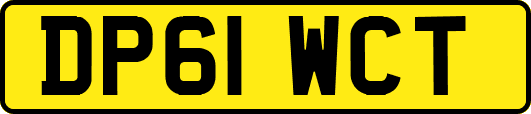 DP61WCT