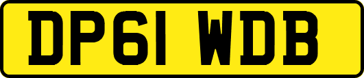 DP61WDB