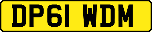 DP61WDM