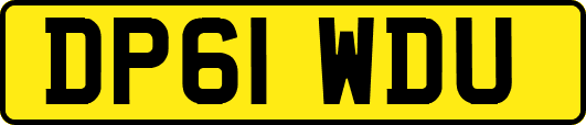 DP61WDU