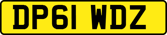 DP61WDZ