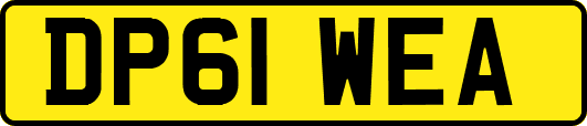 DP61WEA