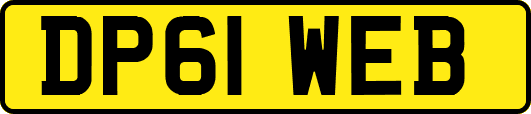 DP61WEB