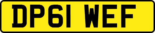 DP61WEF
