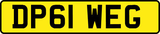 DP61WEG