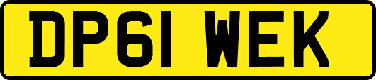 DP61WEK