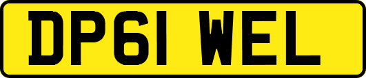 DP61WEL