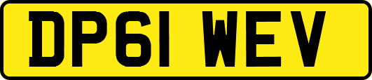 DP61WEV