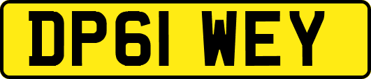 DP61WEY