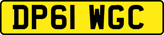 DP61WGC