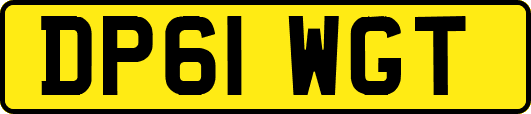 DP61WGT