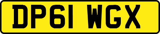 DP61WGX