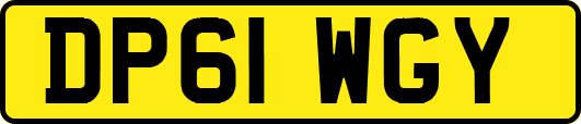 DP61WGY
