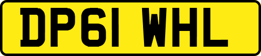 DP61WHL