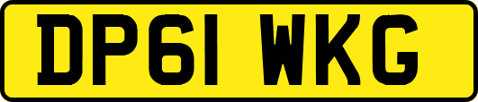 DP61WKG