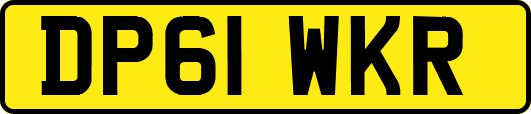 DP61WKR