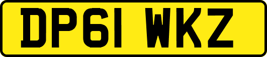DP61WKZ