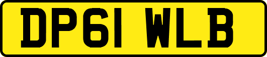 DP61WLB