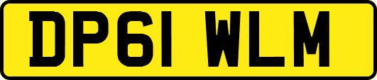 DP61WLM