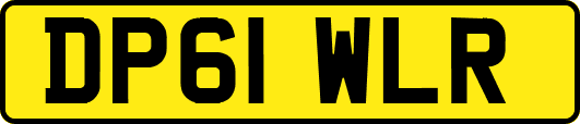 DP61WLR