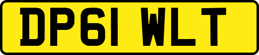 DP61WLT