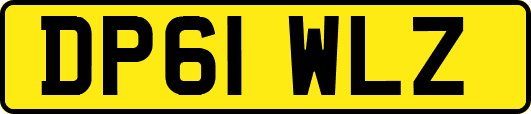 DP61WLZ