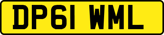 DP61WML