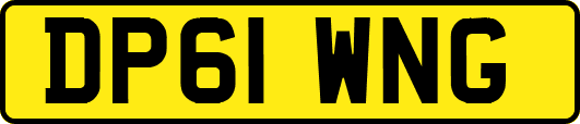 DP61WNG