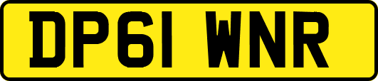 DP61WNR