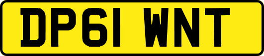 DP61WNT