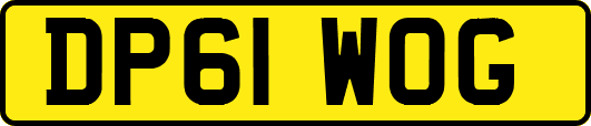 DP61WOG