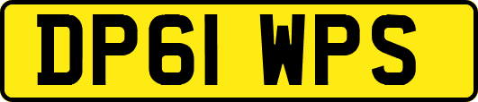 DP61WPS