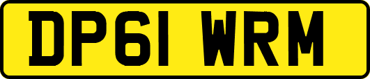 DP61WRM