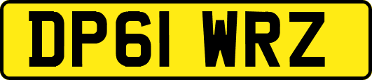 DP61WRZ