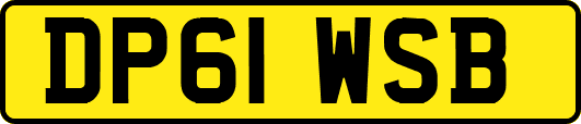 DP61WSB