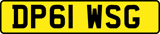 DP61WSG