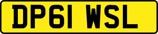 DP61WSL