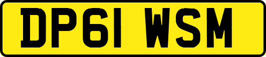 DP61WSM
