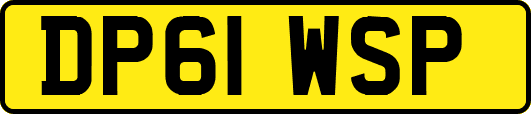 DP61WSP