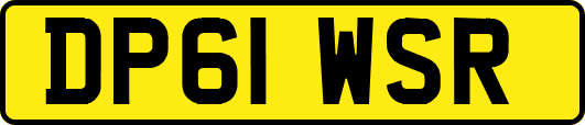 DP61WSR