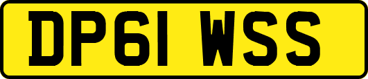 DP61WSS