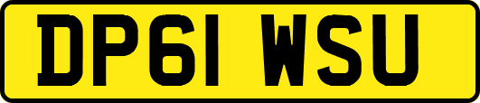 DP61WSU