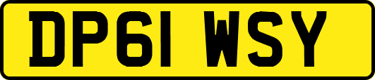 DP61WSY