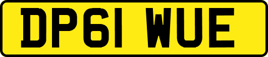 DP61WUE