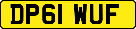 DP61WUF