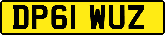 DP61WUZ