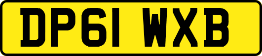 DP61WXB