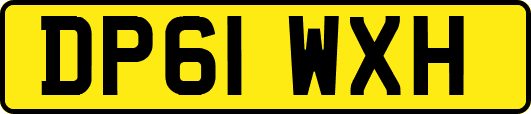DP61WXH