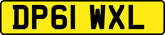 DP61WXL